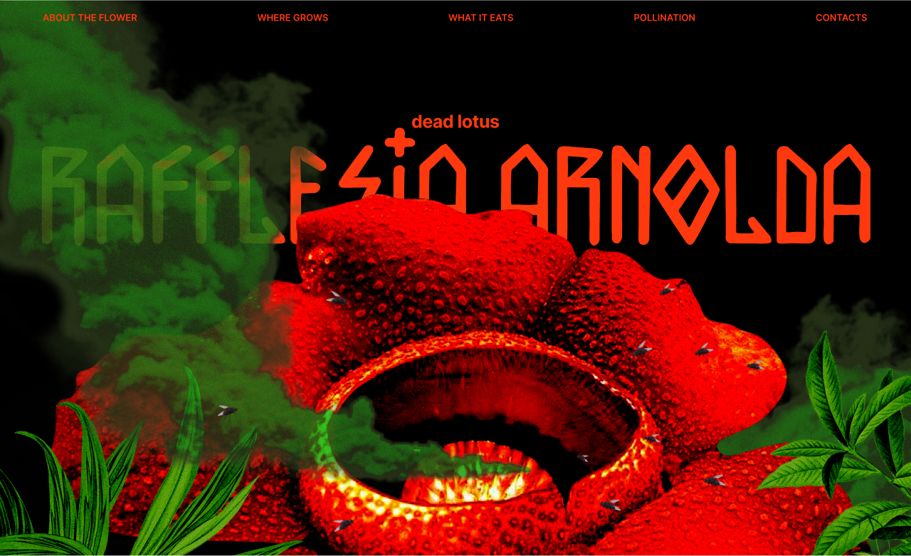 Rafflesia Arnolda
